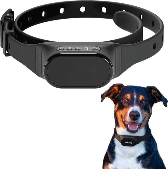 Cintura di Addestramento Anti Blaf per Cani Piccoli e Grandi - Cintura di Addestramento per Cani - Modello per Cani Piccoli e Grandi - Codice del Prodotto: 123456 - Dimensioni: 30-70 cm