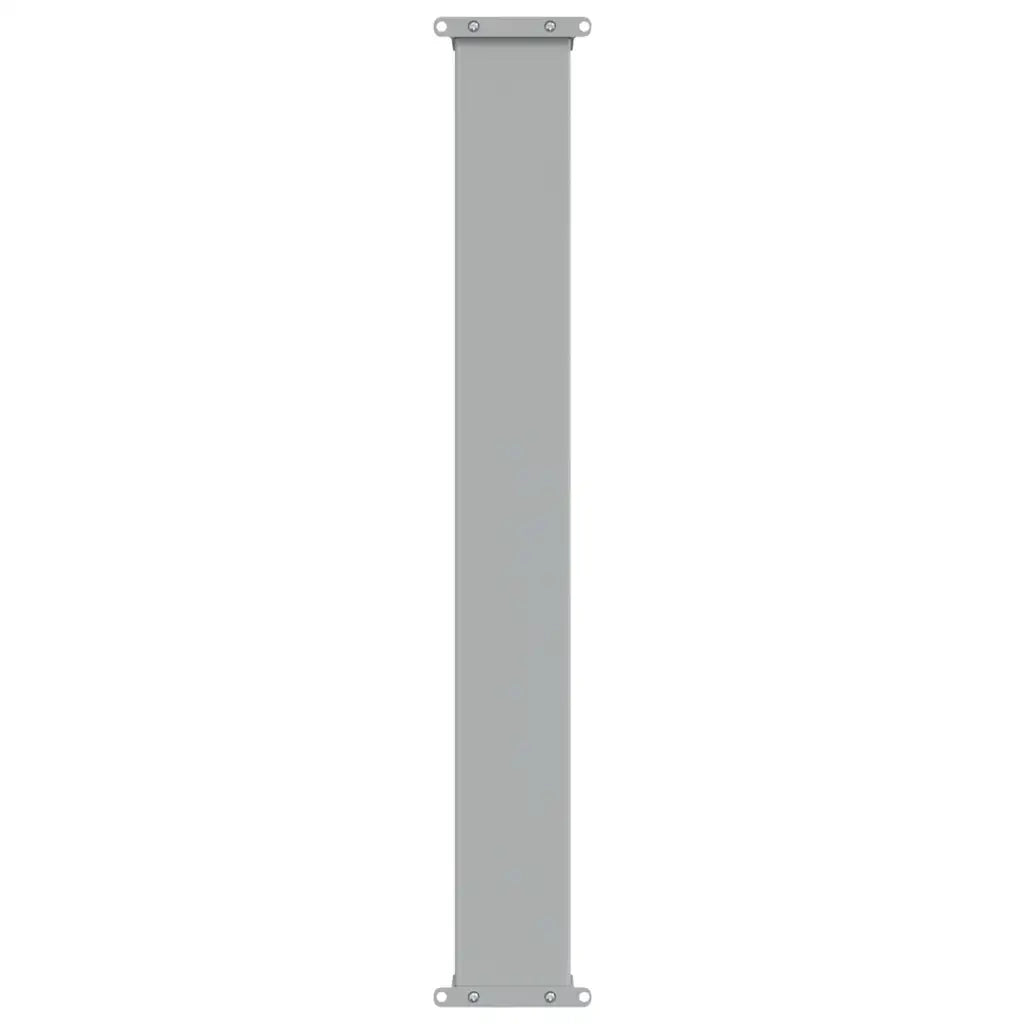 Tenda Laterale Retrattile per Patio 100x300 cm Marrone 48340