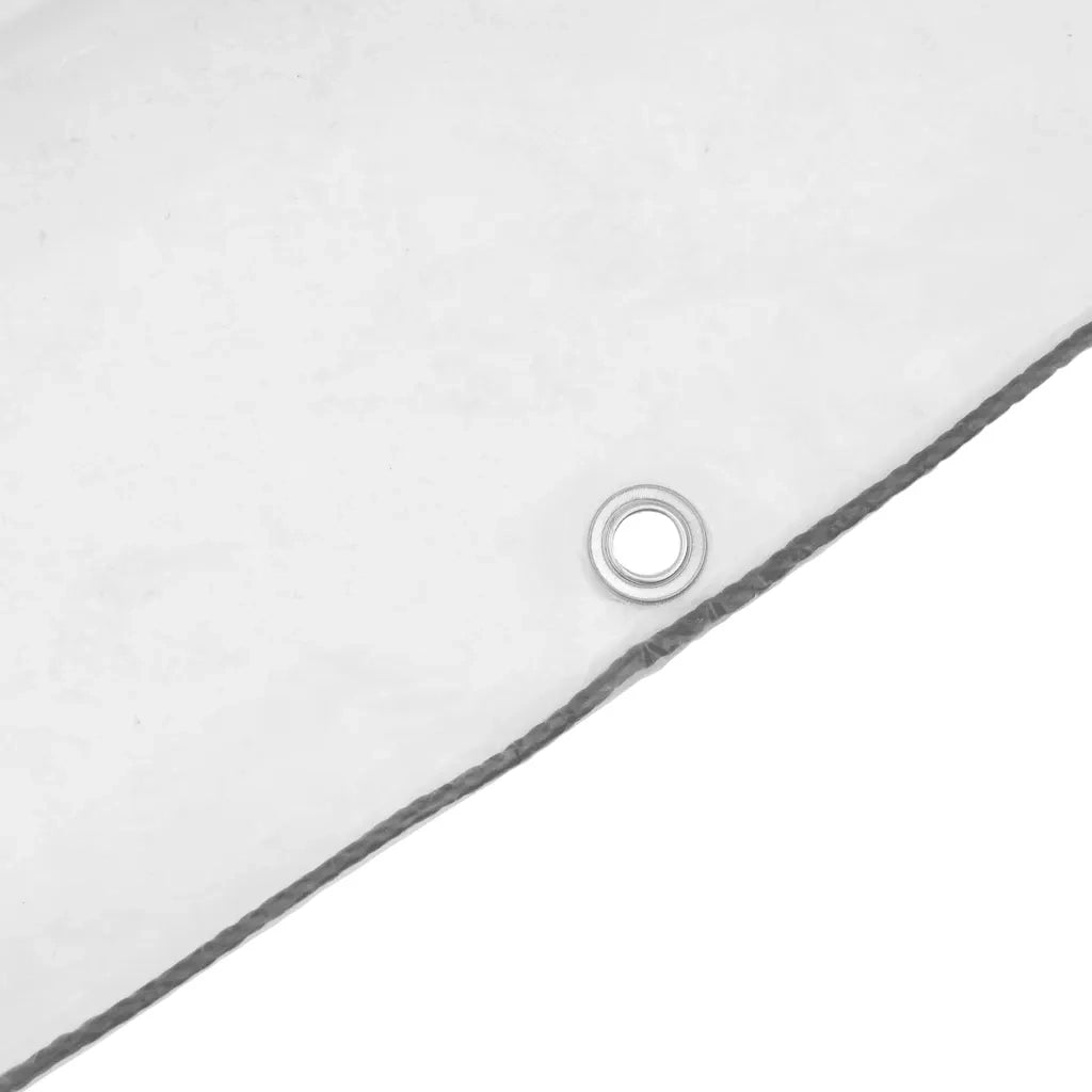 Telone Trasparente con Occhielli 1x6 m in Polietilene 4018499