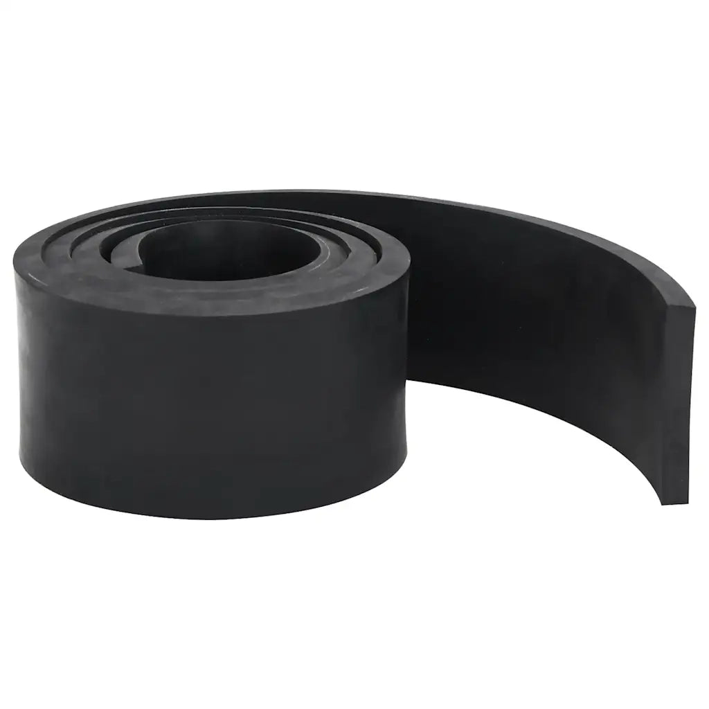 Bordo in Gomma per Spazzaneve Nero 150x8x1 cm CFW4508834