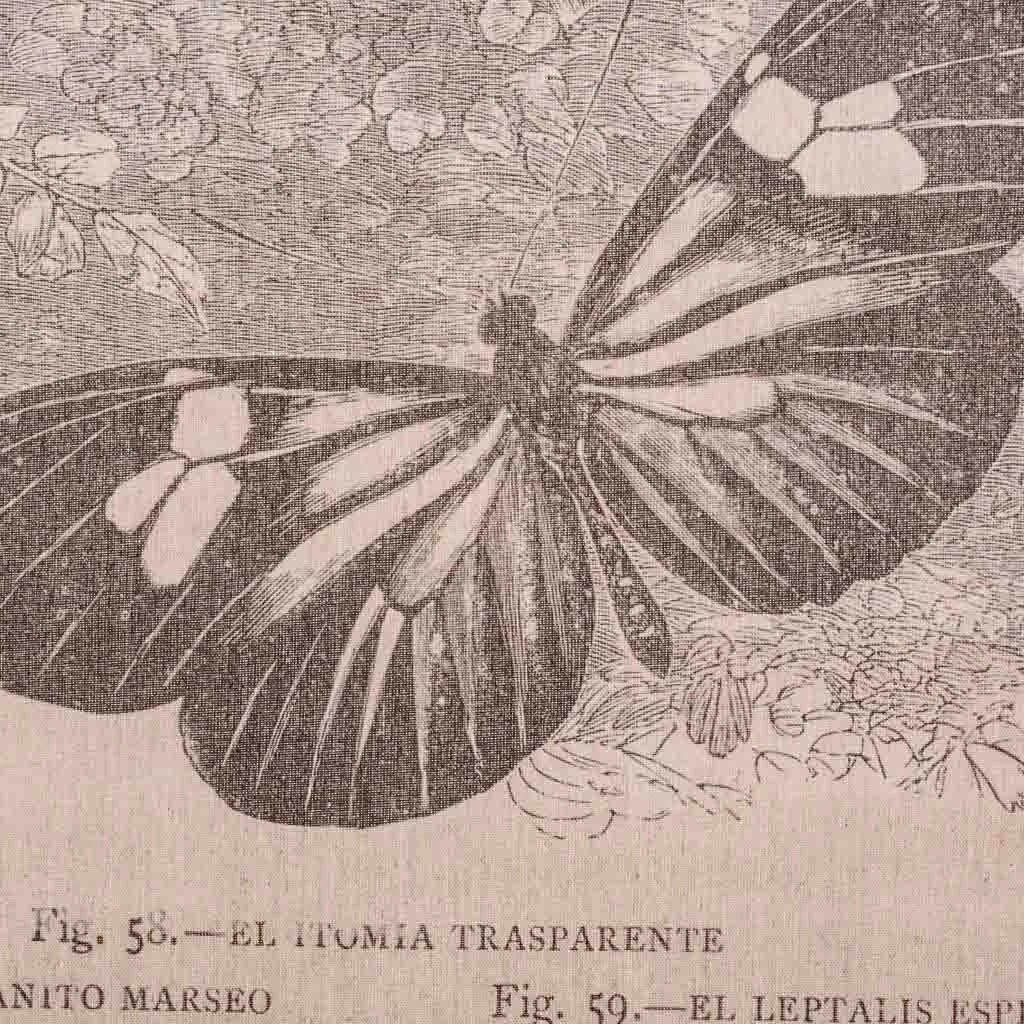 Tela stampata in pergamena