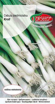 Cipolla Siedmiolatka Kroll 0,5g