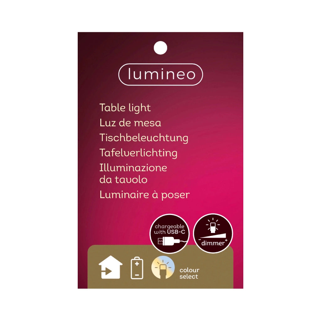 LAMPADA DA TAVOLO LED USB D.9XH21CM 3COLORI ASS.