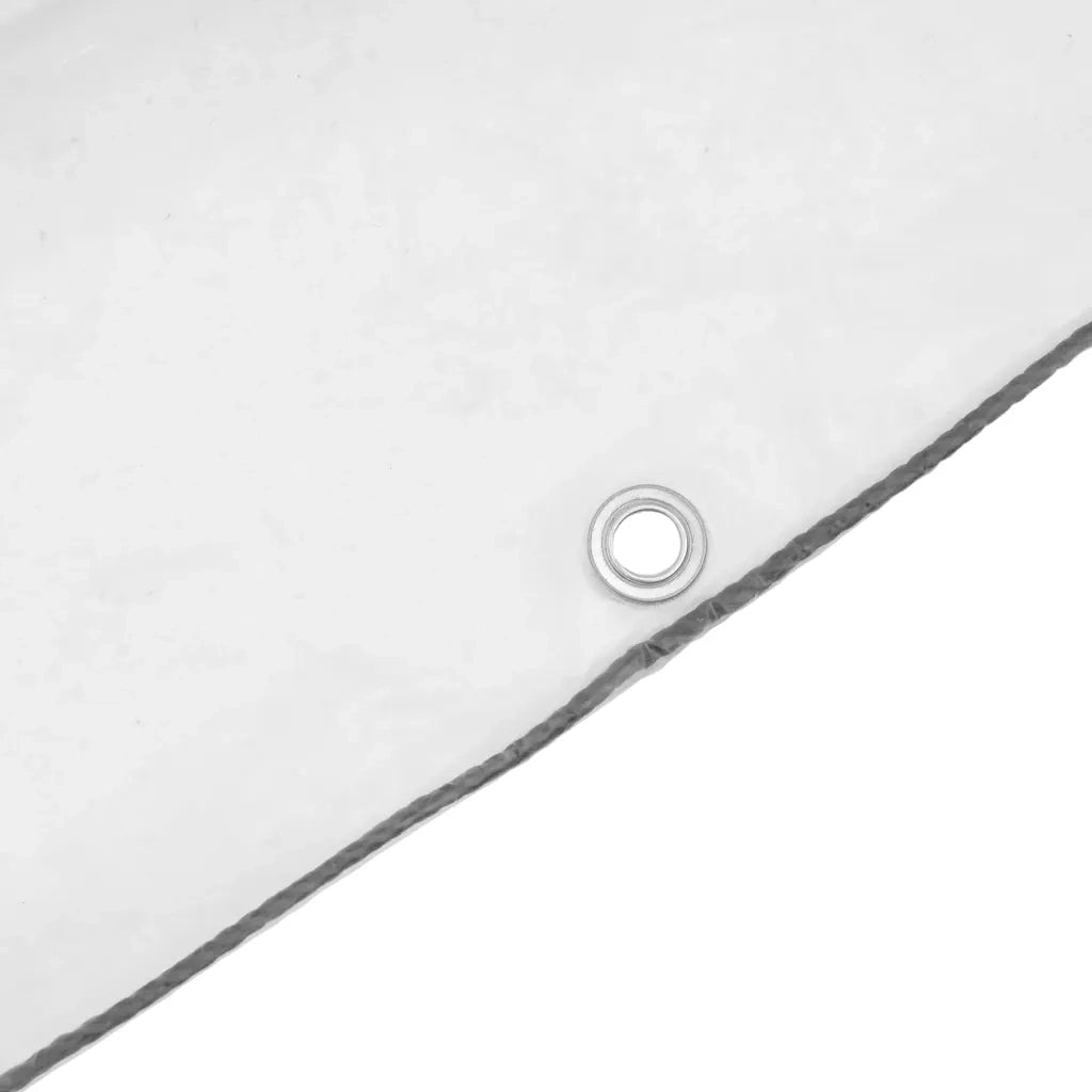 Telone Trasparente con Occhielli 5x5 m in Polietilene 4018524
