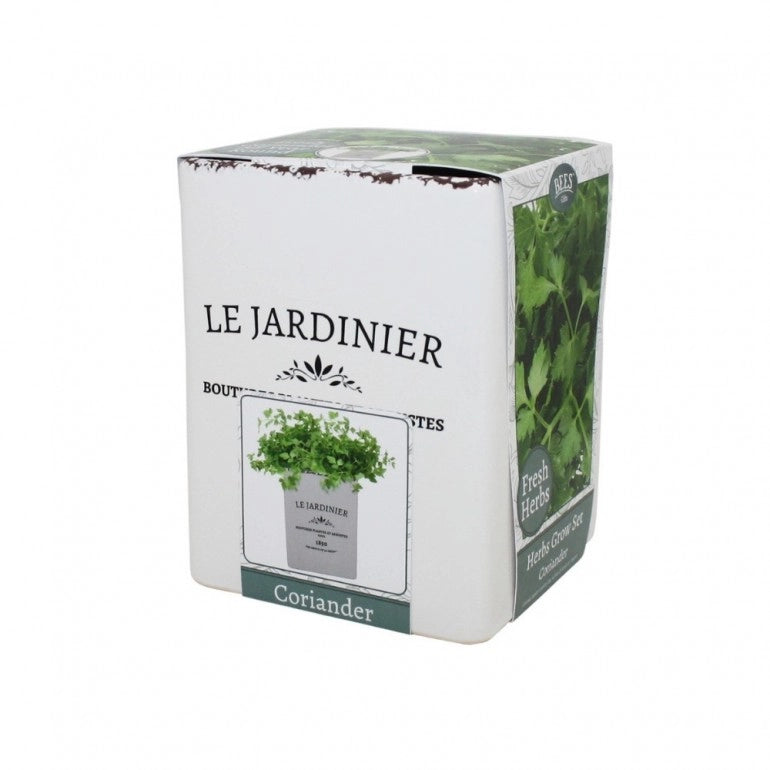 Kit Coltivazione per il Coriandolo, con vaso in ceramica, terriccio e semi