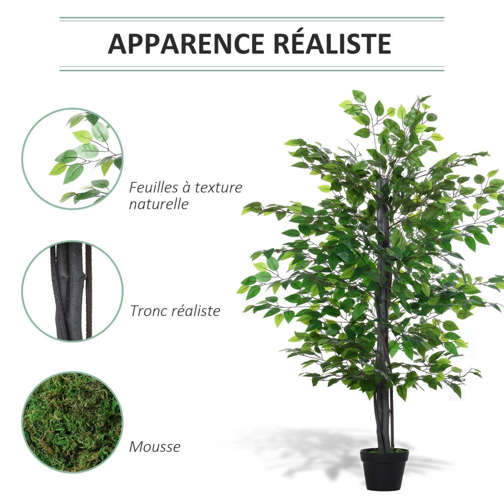 Pianta Artificiale Ficus ¨C Xylo ¨C H.145 cm con Tronco Rami Licheni Foglie Vaso Incluso