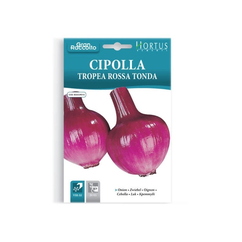 Cipolla Tropea rossa tonda Gran Raccolto