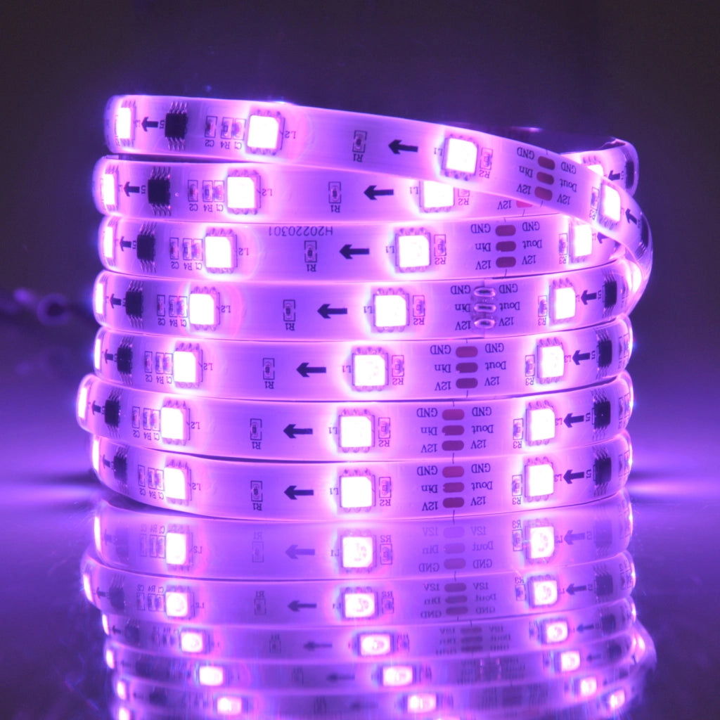 Kit striscia LED MAGIC RGB 5m 12V IP65 con telecomando