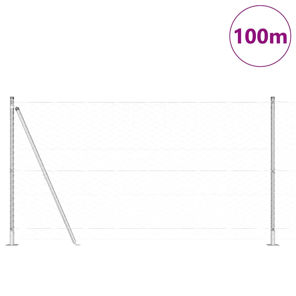 Palo della recinzione Argento 100 x 1,2 m (rete 50 mm) Acciaio