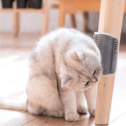Kit di Petting per Gatti e Cani con Pettini per Capelli Corti, Medio e Lunghi