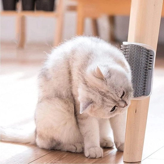 Kit di Petting per Gatti e Cani con Pettini per Capelli Corti, Medio e Lunghi