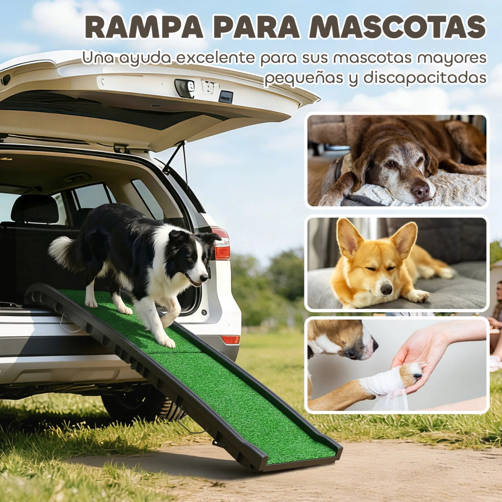 Rampa per Cane Pieghevole ¨C zephmum ¨C Verde 155 cm