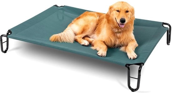 Letto Elevato per Cani, 109,2 x 76,2 x 20,3 cm (Medio, Verde)