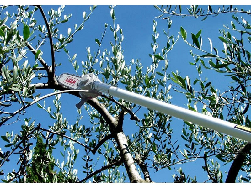 Seghetto pneumatico Lisam Sky per potatura con barra a punta e asta da 1,5 mt