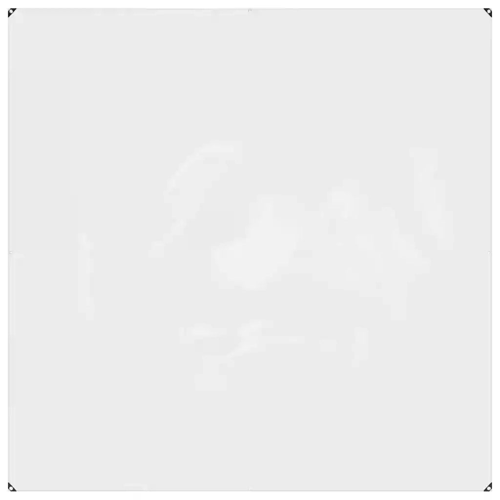 Telone trasparente con occhielli 2x2 m PVC 4018591