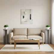 Supporto per piante 2 pz Grigio Sonoma Ø40 x 100 cm 899696