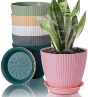 Insalatiera per piante da interni - 6 pezzi - design moderno - 15 cm