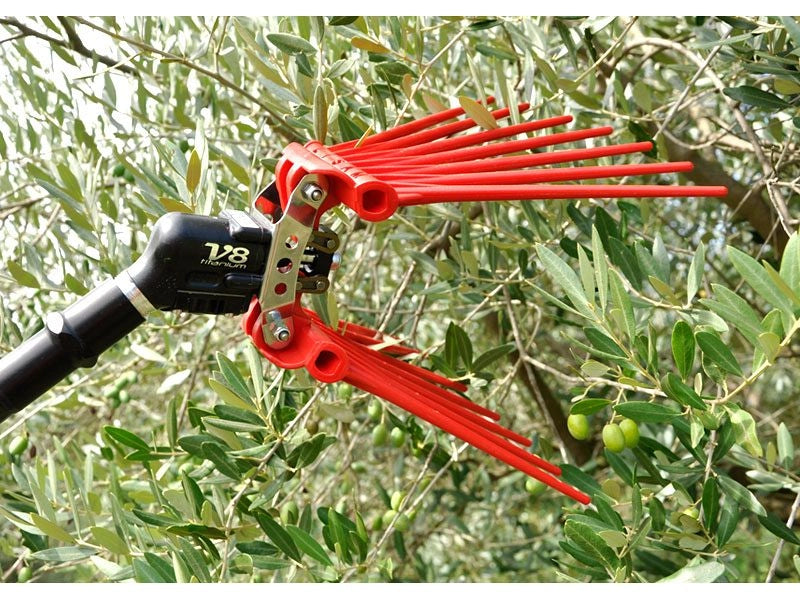 Abbacchiatore pneumatico Lisam V8 TITANIUM 2000 bpm per la raccolta delle olive