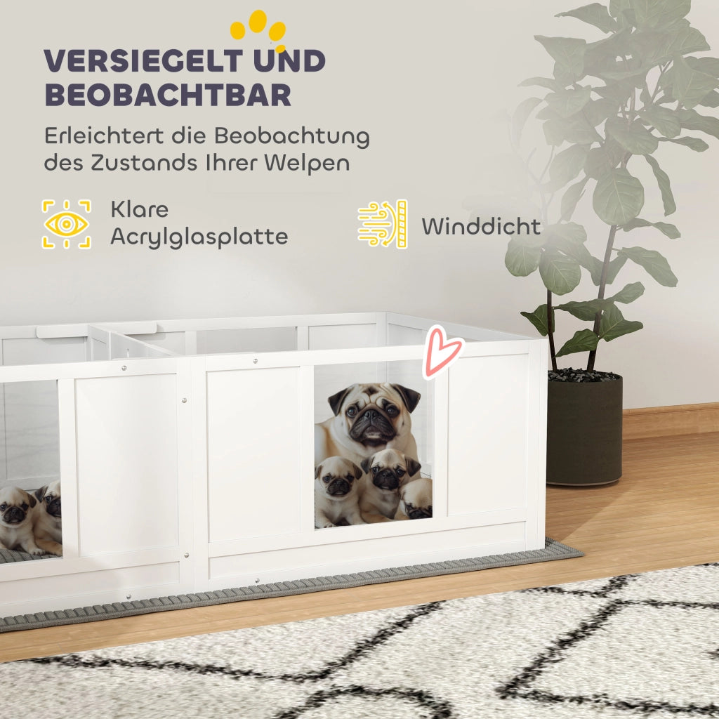 Box per cani ¨C Minimal ¨C 2 ambienti, pannelli trasparenti