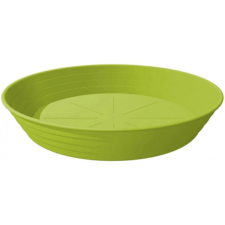 Sottovaso Primavera Ø 24 Cm