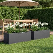 Vaso da giardino 2 pz Antracite 80 x 30 x 30 cm 8005209