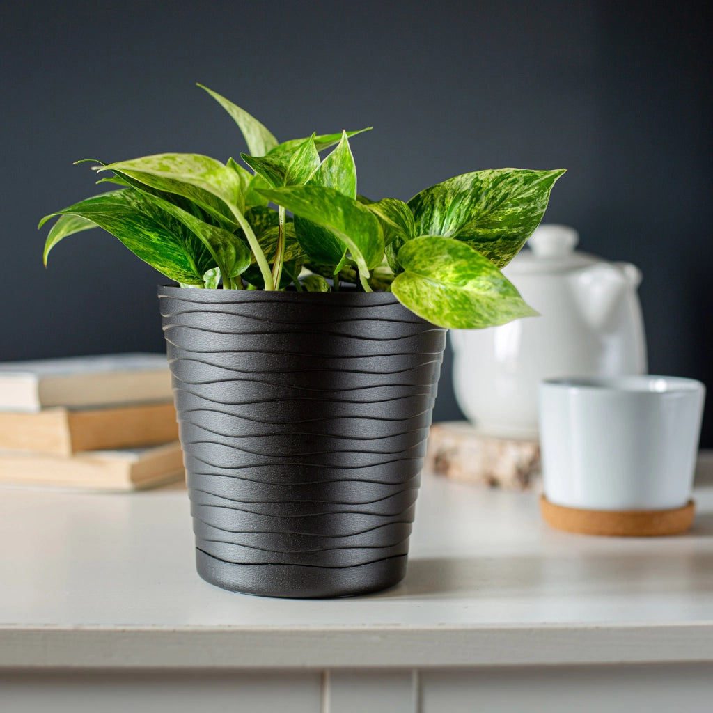 Vaso da fiori KADAX da 30 cm, con coperchio in plastica e supporto.