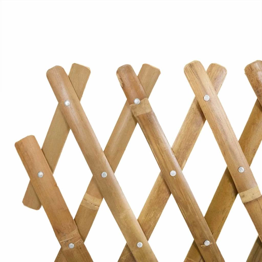 Recinto Trellis Espandibile 2 pcs Marrone Chiaro 100 x 105 cm 42028067