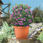 VASO DA GIARDINO TERRA TONDO 35CM