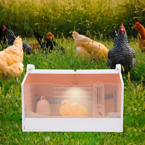 Incubatore per uova 20 posti, alimentazione elettrica 220 V, 25 W, dotato di alimentazione idrica integrata.