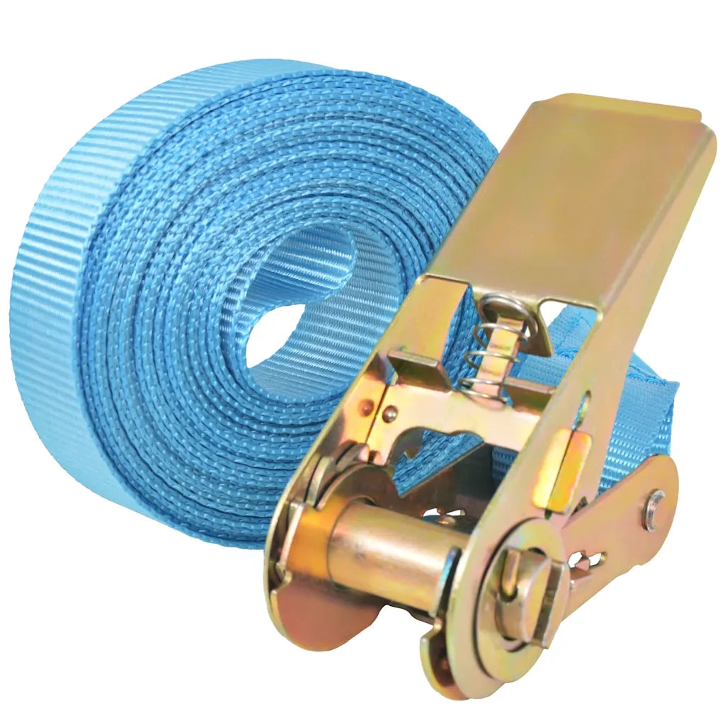 Cinghie d¡¯Ancoraggio 4 pz a Cricchetto 0,8 T 6mx25mm Blu CFW8322550