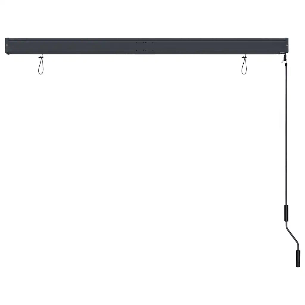 Tenda a Rullo per Esterni 160x250 cm Antracite 145976