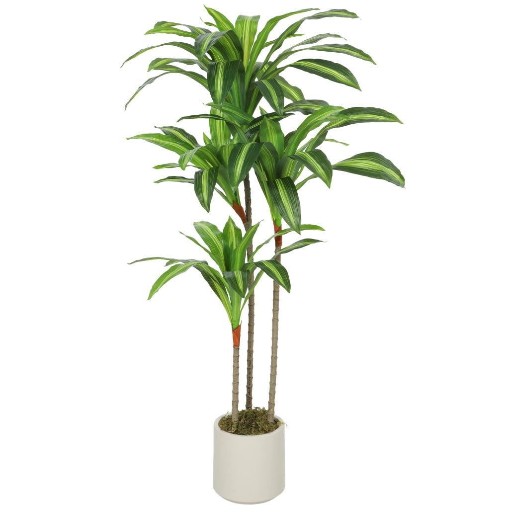 Albero Dracaena Artificiale ¨C Xylo ¨C 120 cm con Vaso Bianco