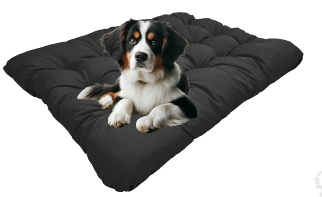 AIO FACTORY 80x60 cm PRESTIGE Cuccia per cani impermeabile personalizzabile Nero