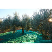 C RETE P/OLIVE ANTISPINA 80G C/SPACCO 12X12M