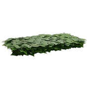 Paravento da Balcone | Schermo per balcone con foglie Verde 300 x 75 cm