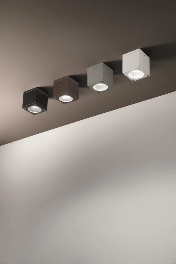 PLAFONIERA PER ESTERNI NEVADA 1 LUCE ATTACCO GU10 SILVER