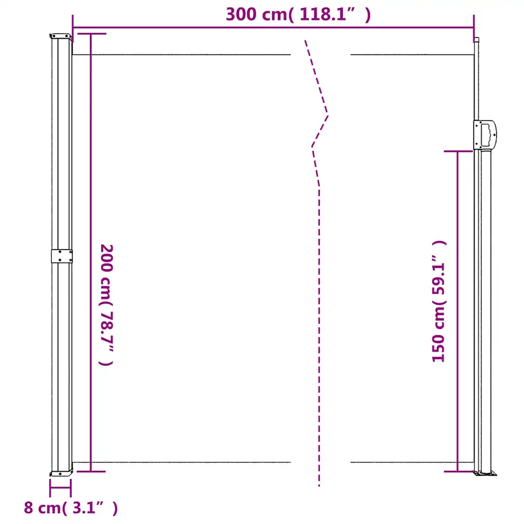 Tenda da Sole Laterale Retrattile Nera 200x300 cm 4004354