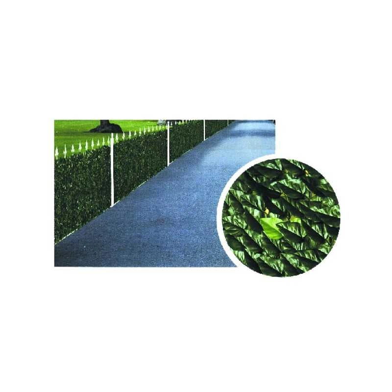Siepe Lauro h 100 m 3 Ilcampo 00029