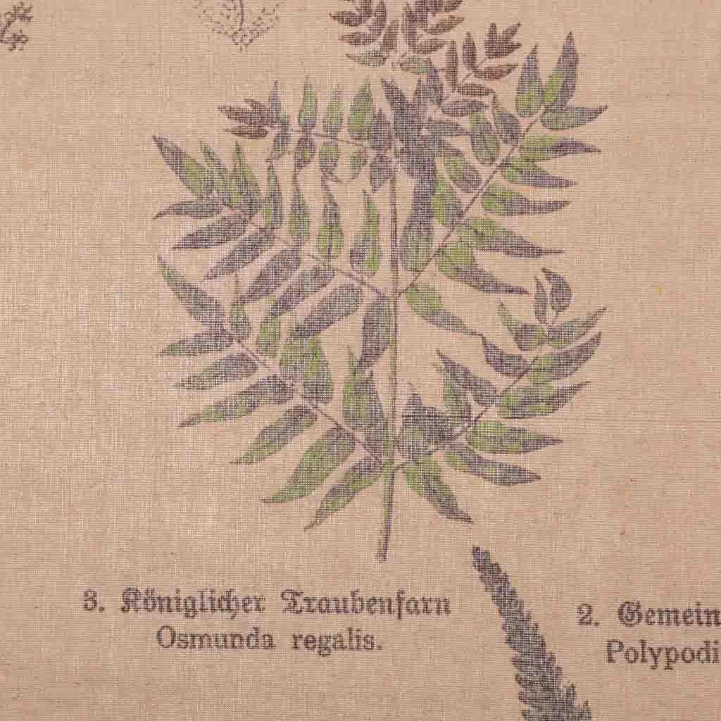 Tela pergamena multicolore 55x75x2,5 cm