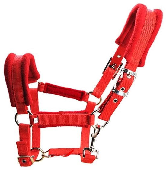 Halster per Cavallo con Cuscino di Controllo - Adattabile con Maniglie Regolabili - Materiale Polypropeen - Altezza di Sella 1,3-1,5 m