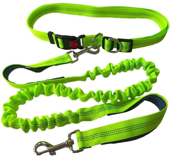 Cinturone da jogging per cani a manubrio regolabile con cinturino per la vita adattabile