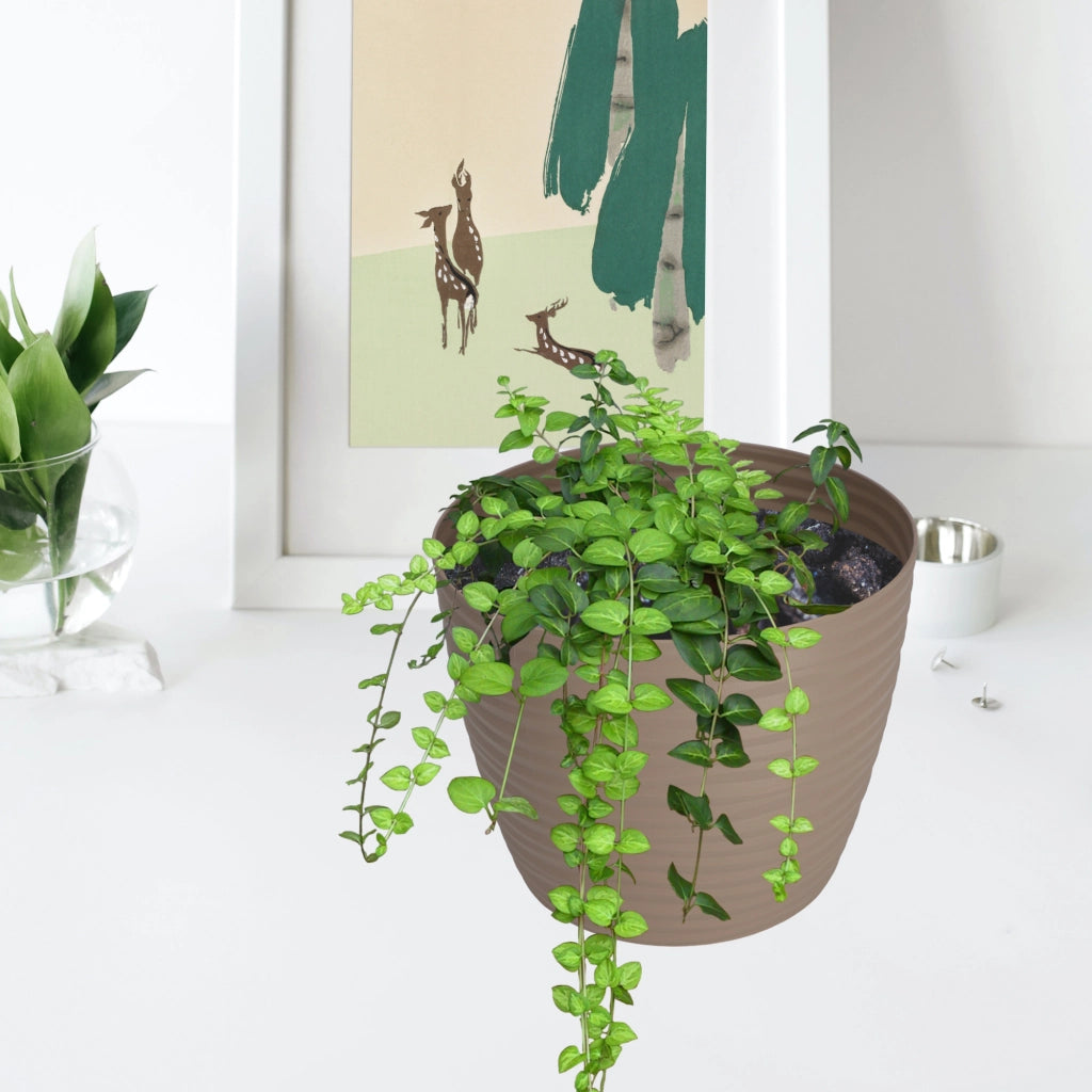 Vaso da fiori KADAX rotondo da 15 cm in plastica beige