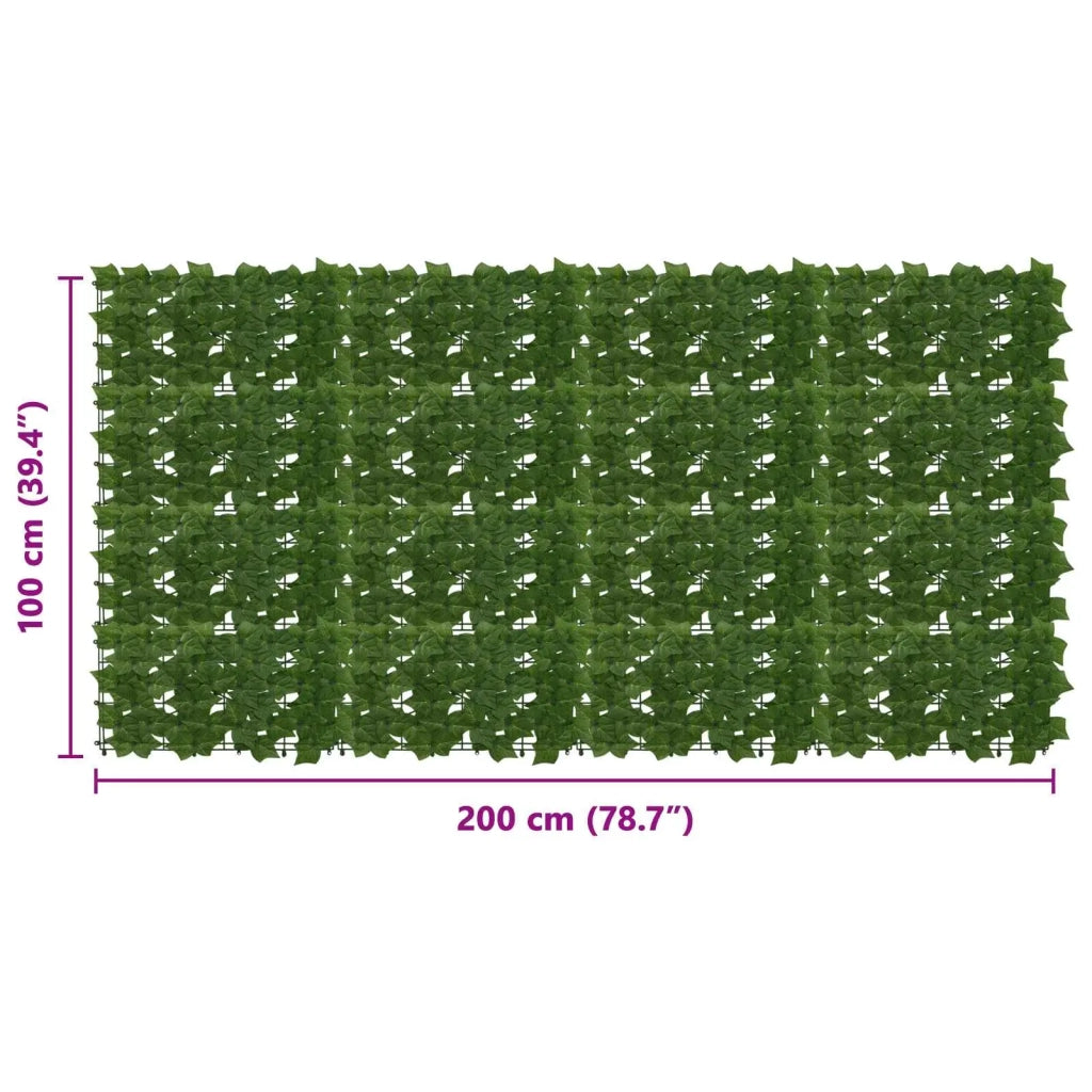 Paravento da Balcone | Schermo per balcone con foglie Verde 200 x 100 cm