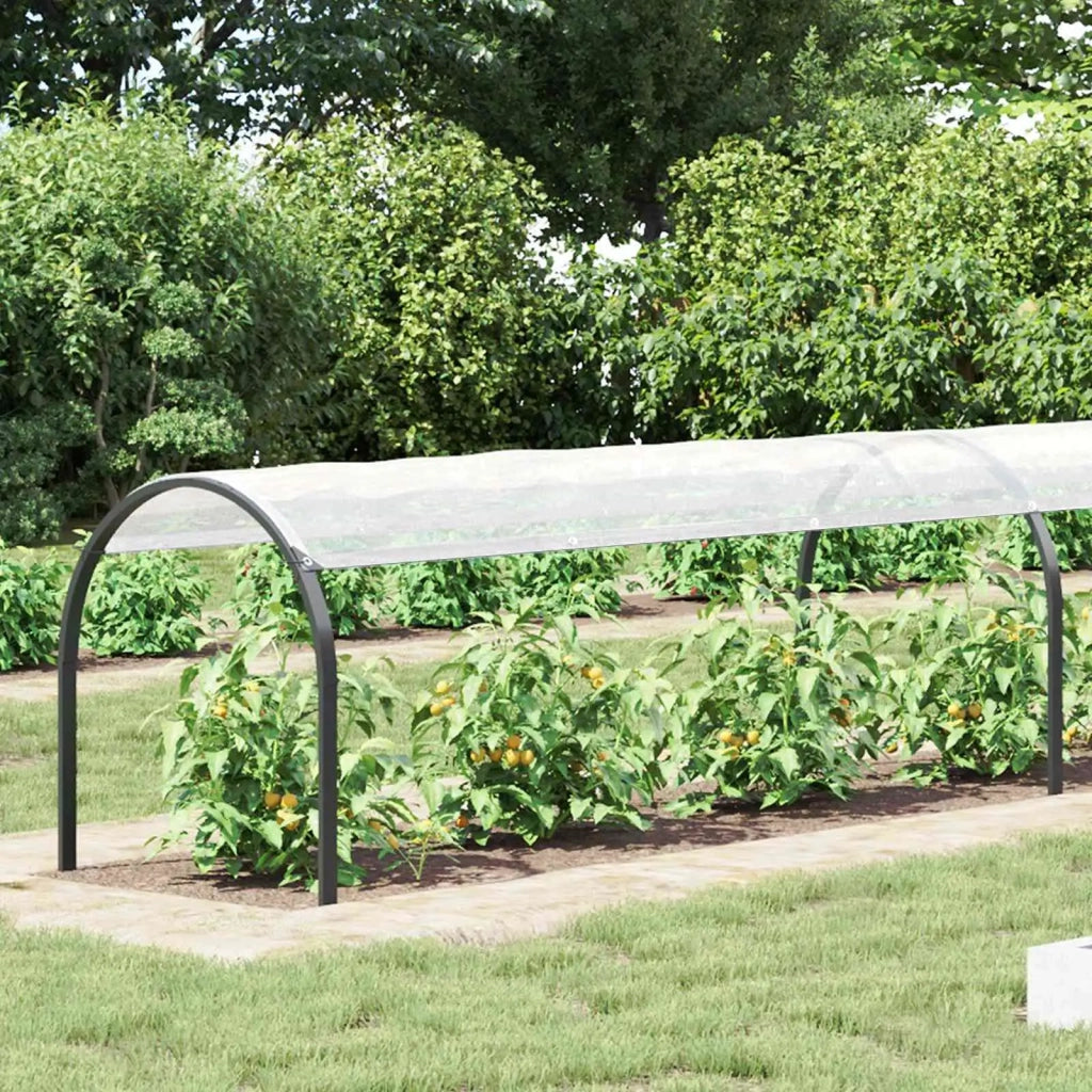 Copertura per Piante Trasparente 1 x 12 m PE 3429271