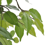 Ficus Nano Artificiale con Vaso-Piante Decorative 60 cm