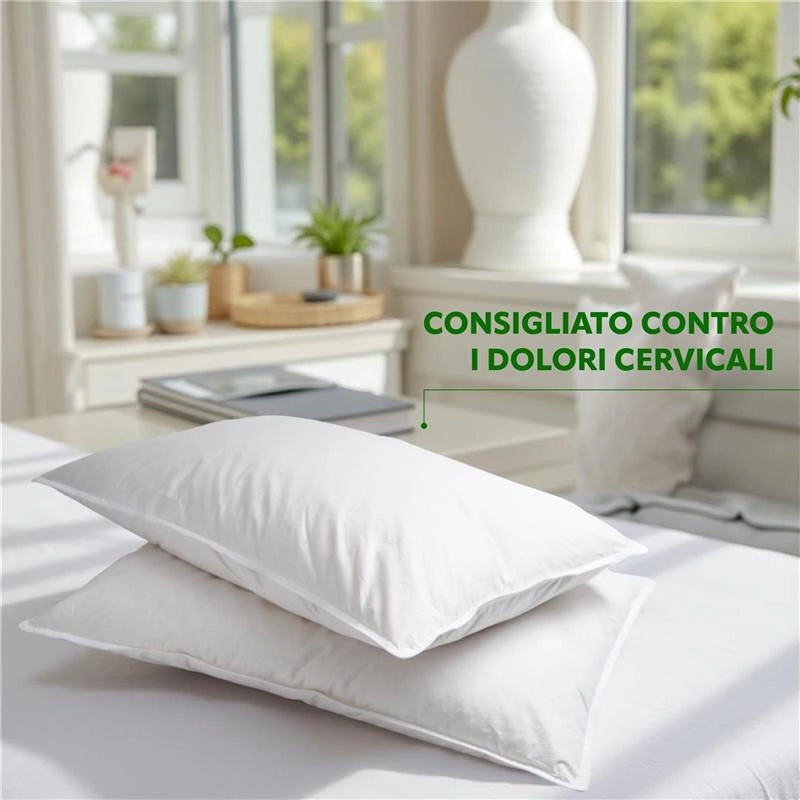 HYDRA VIVA COPPIA CUSCINI GUANCIALE ANALLERGICO PER CAMERA DA LETTO DOLCE RIPOSO