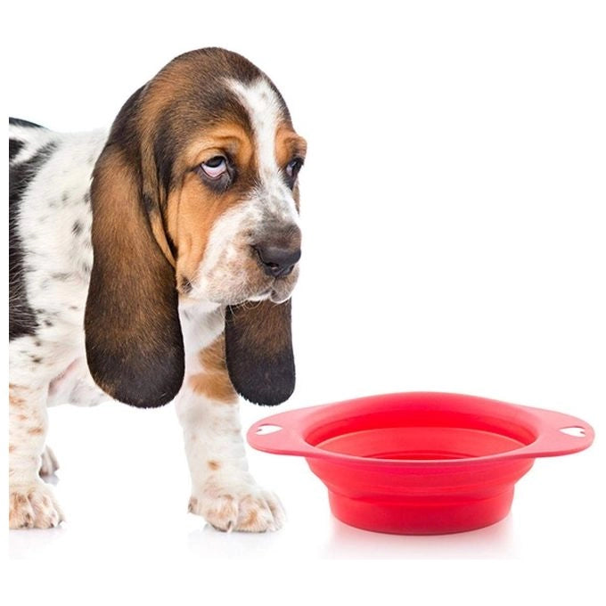 Koopman V0203010 Ciotola Pieghevole per Cani in Silicone 1 L diametro 19 cm lavastoviglie colore Assortiti