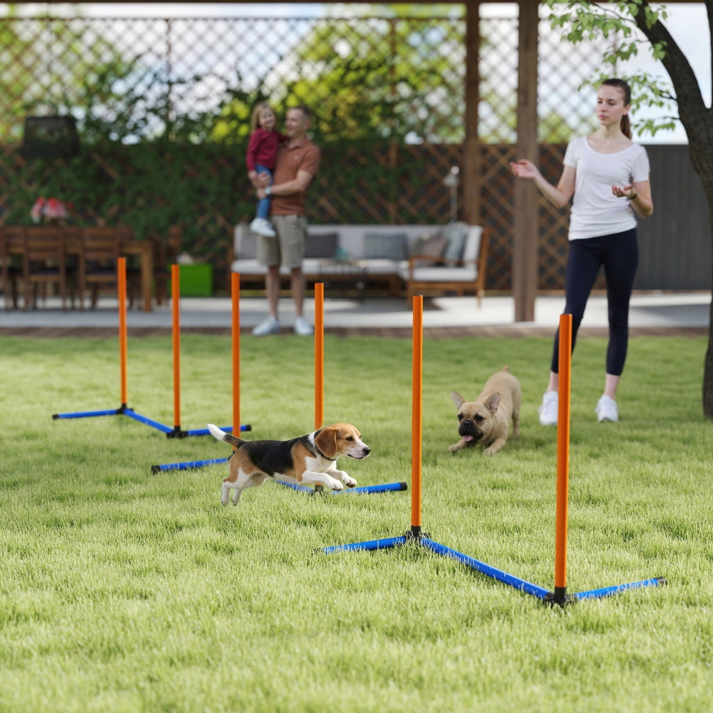 Set Agility per Cani ¨C Minimal ¨C 3 Pezzi con Slalom e Borsa Arancione