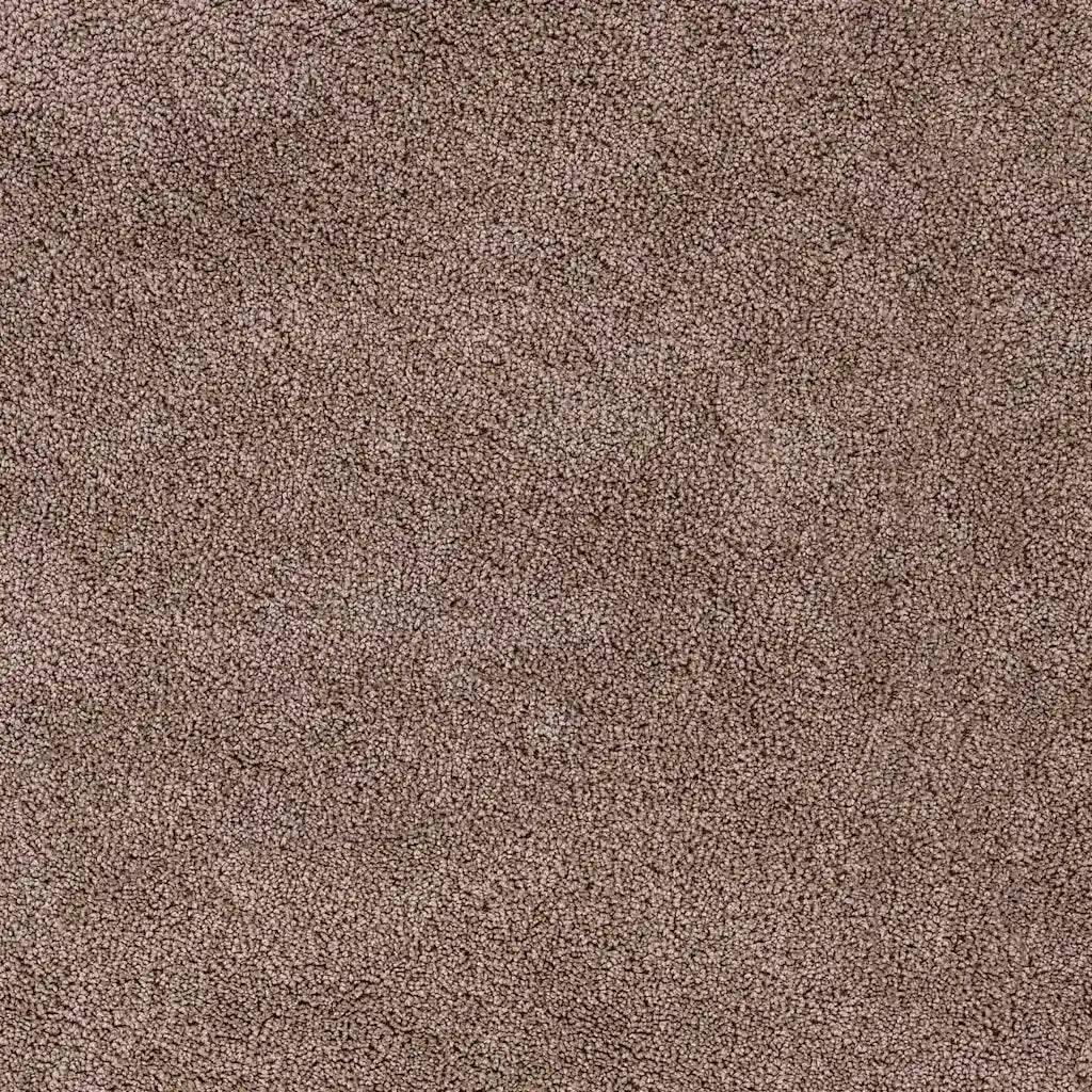 Tappeto Shaggy Antiscivolo Marrone 80 x 150 cm PP 4019790