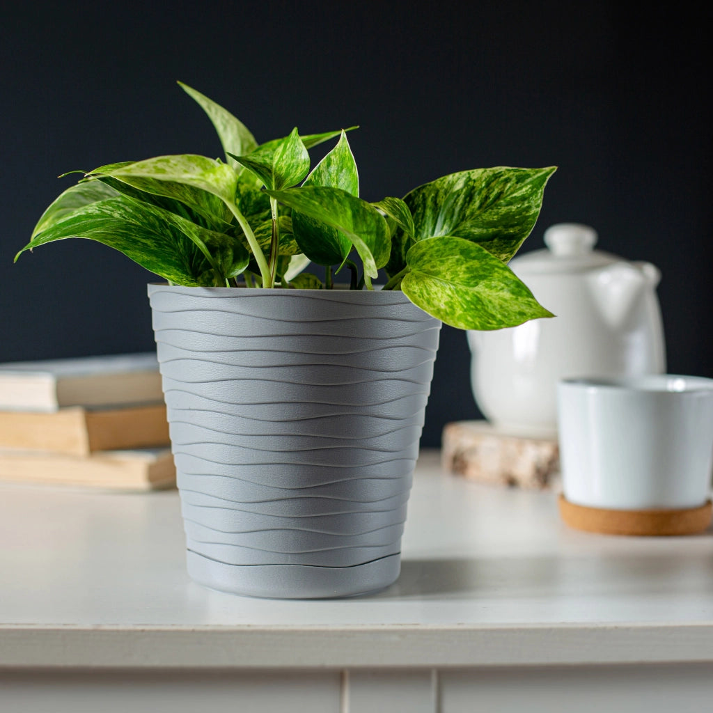 Vaso da fiori KADAX da 19 cm con coperchio e supporto, supporto per fiori in plastica